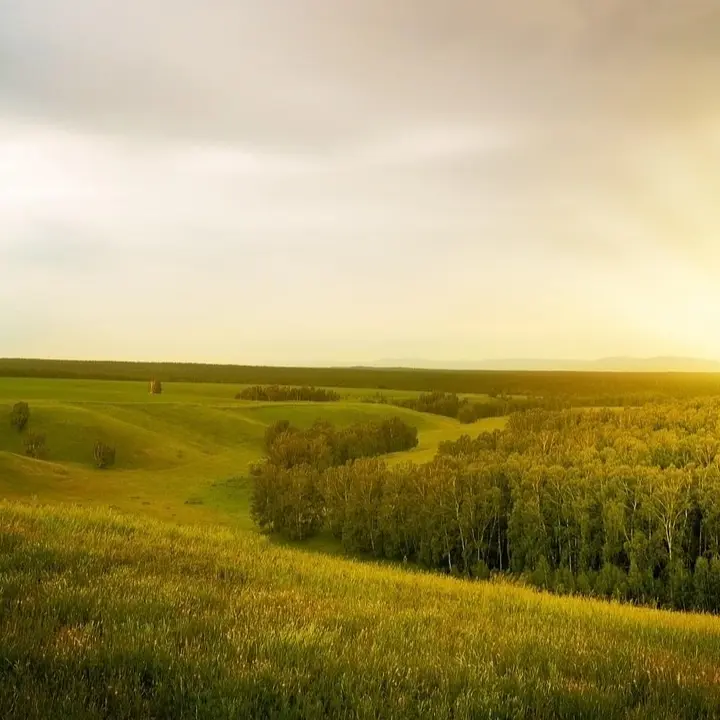 Wandel beobachten ohne Deutung